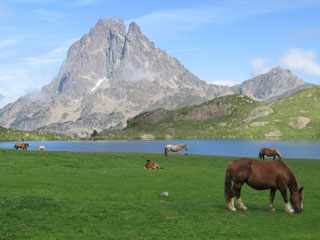 Cheval