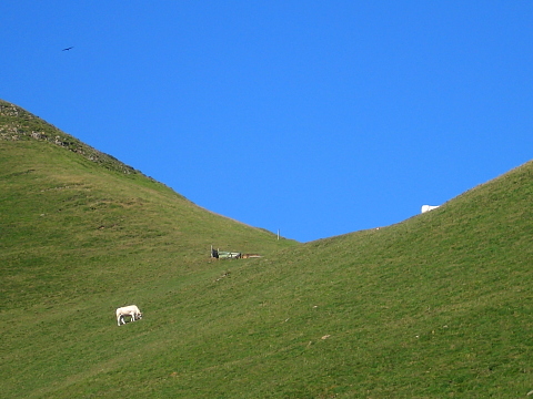 Pyrenees - Bearn - COL D'UGATZE (1156 m)