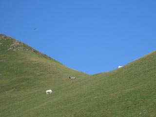 Col d'Ugatze
