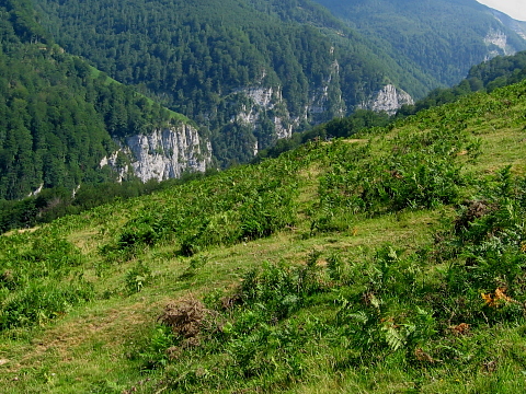 Pyrenees - Bearn - GORGES DE KAKOUETA (489 m)