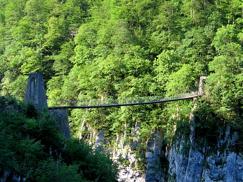 Pyrenees - Bearn - PASSERELLE D'HOLZARTE (531 m)