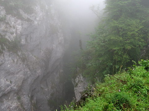 Pyrenees - Bearn - GORGE (949 m)