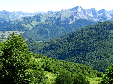 Pyrenees - Bearn - LES TROUNGUERES (1400 m)