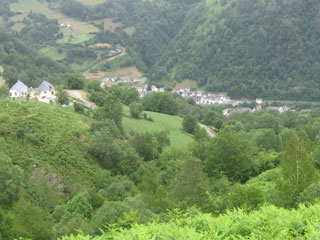 Borce