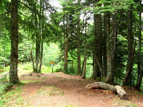 Pyrenees - Bearn - COL DE BARRANCQ (1601 m)
