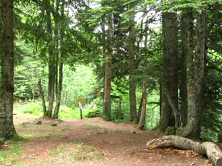 Vallee Barrancq