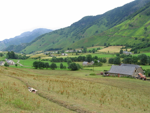Pyrenees - Bearn - PLATEAU DE LHERS (1011 m)