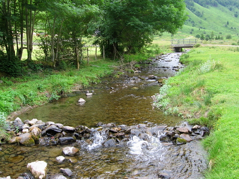 Pyrenees - Bearn - RIVIERE SUR LE PLATEAU DE LHERS (1011 m)