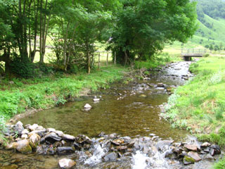 Riviere