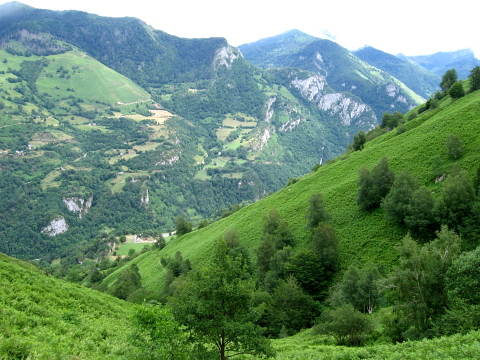 Pyrenees - Bearn - VALLEE DU GAVE D'ASPE (998 m)