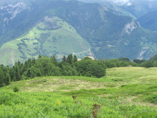 Vallee Barrancq