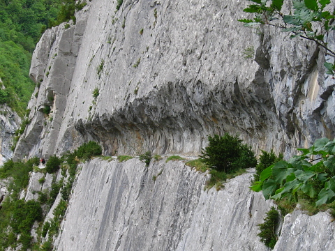 Esterencuby
