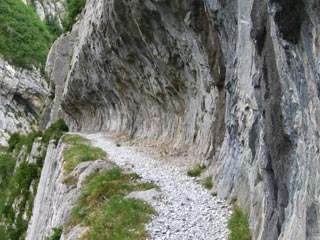 Gorges d'Holzarte