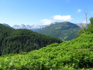 Col d'Arras
