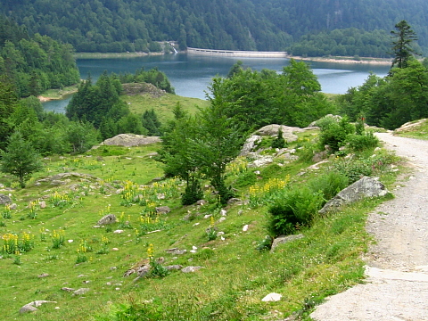 Pyrenees - Bearn - LAC DE BIOUS ARTIGUES (1435 m) 