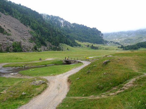 Pyrenees - Bearn - VALLEE (1538 m) 