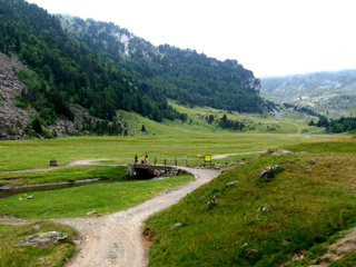 Vallee