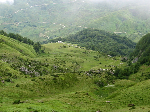 Arbaze