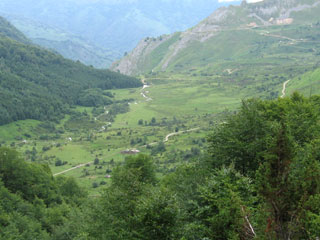 Litor