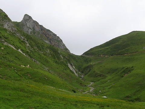Pyrenees - Bearn - COL DE SAUCEDE (1350 m)