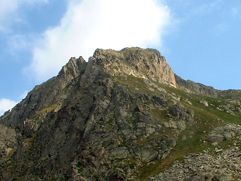 Montardo
