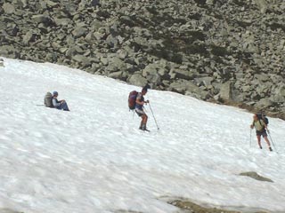 Chevaux Col Long d'Ayous
