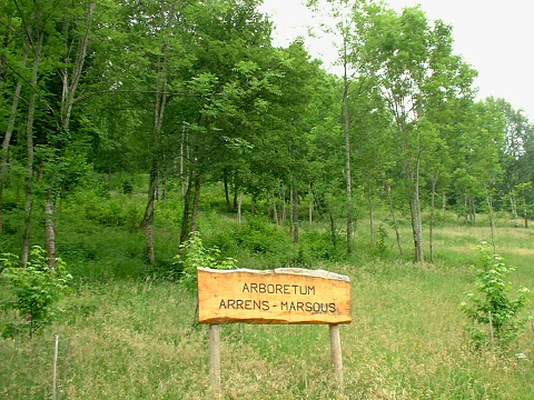 Pyrenees - Hautes Pyrenees - ARBORETUM D'ARRENS-MARSOUS (941 m)