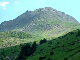 Grand Barbat