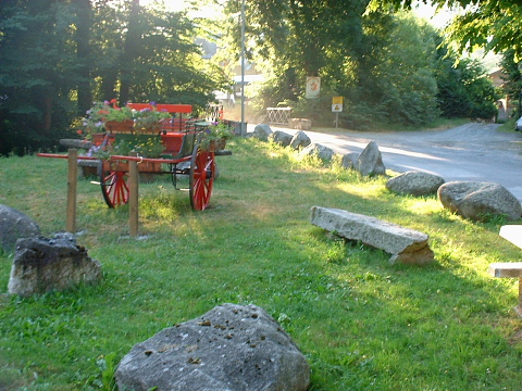 Pyrenees - Hautes Pyrenees - JARDIN FLEURI (709 m)