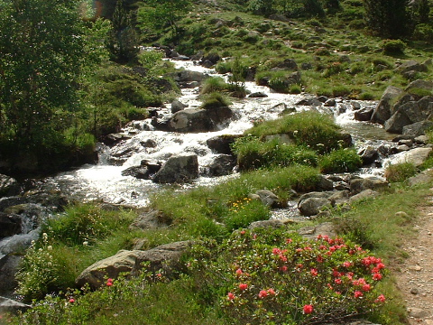 Pyrenees - Hautes Pyrenees - TORRENT (1830 m)