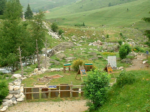Jardin Botanique