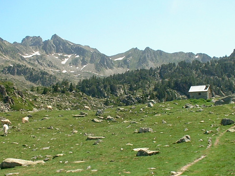 Pyrenees - Hautes Pyrenees - PARC DE NEOUVIELLE - AYGUES CLUSES (1810 m)