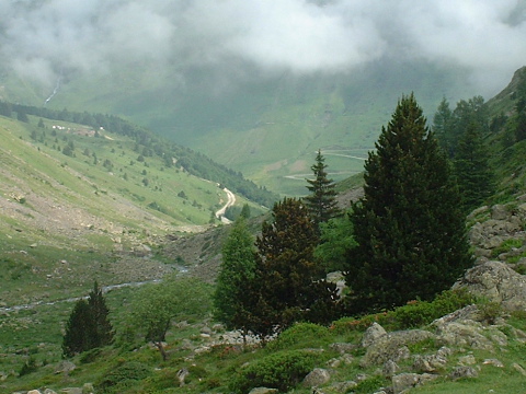 Pyrenees - Hautes Pyrenees - VALLEE DE COUBOUS (1710 m) 