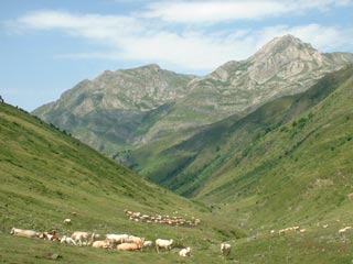 Baigt de St Cours