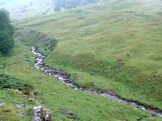 Espelunguere