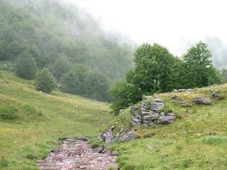 Espelunguere