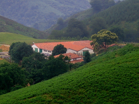 Pyrenees - Pays Basque - FERME ESTEBEN (567 m)