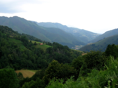 Pyrenees - Pays Basque - VALLEE DE PHAGALCETTE (616 m)