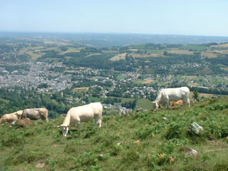 Chevaux Canal Roya