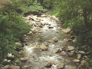 Gave de l'adour