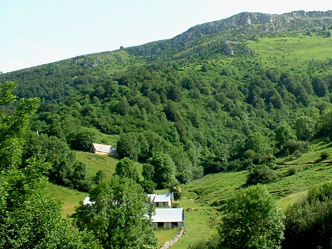 Cailhet