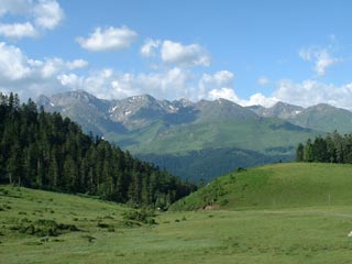 Les 4 vesiaux