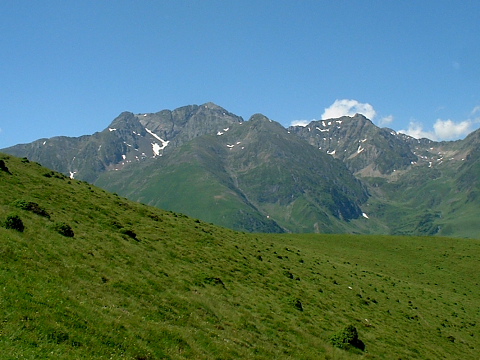 Arbizon