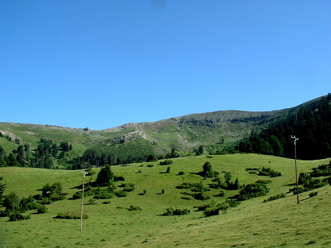Pene de la Teoulere