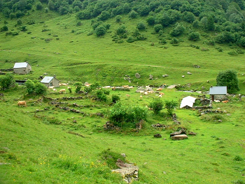 Cabanes de Tramazaygues